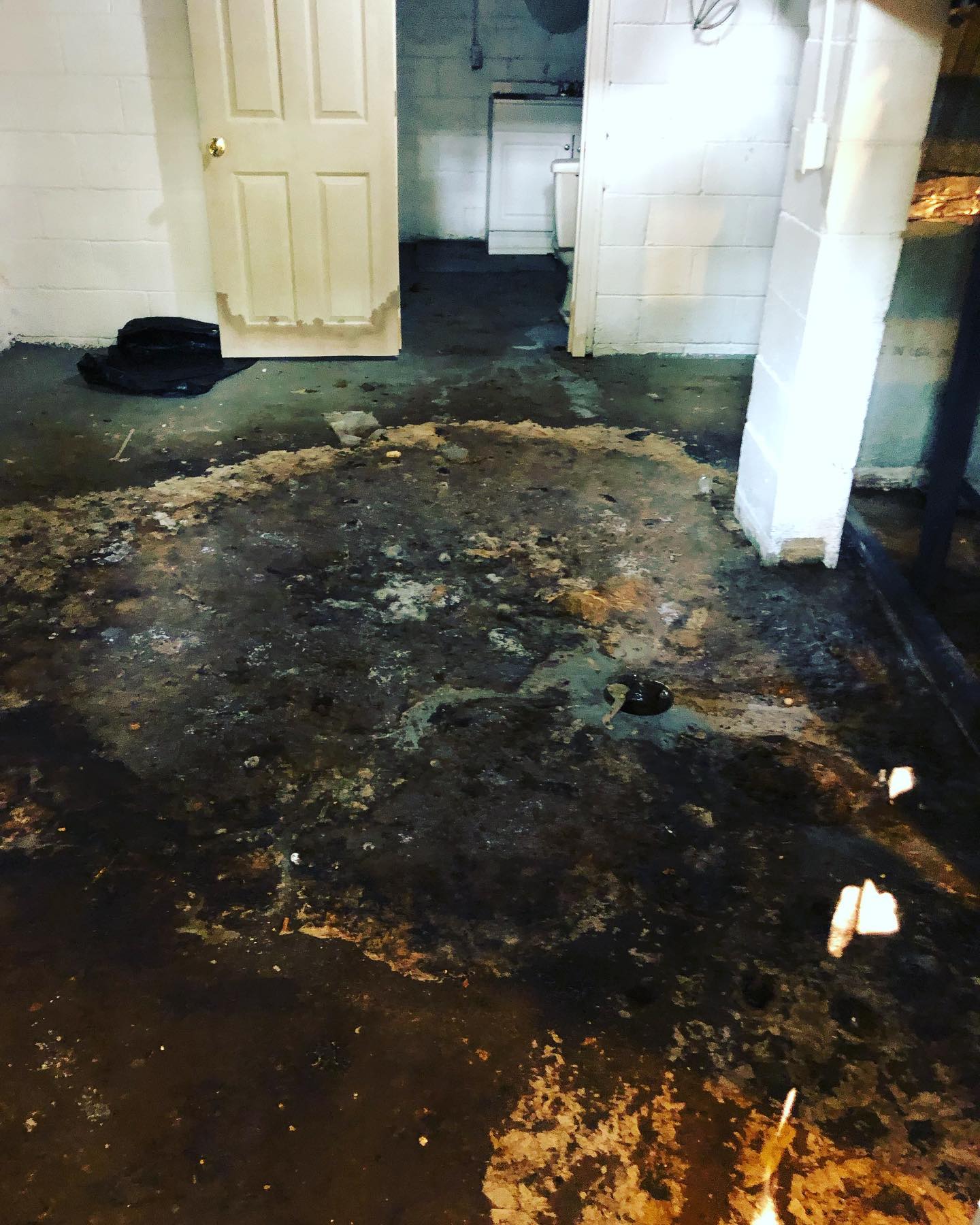 What To Do When Your Sewer Backs Up BioOne of Marion County